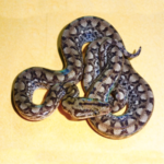 Columbian Rainbow Boa for Sale