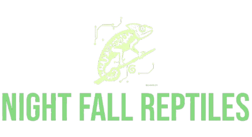 nightfallreptiles.com